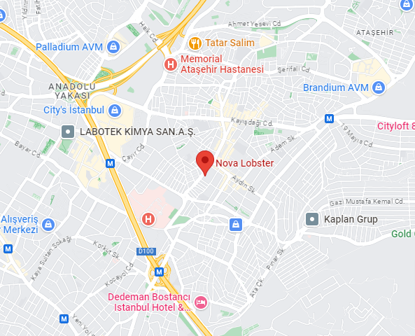 Istakoz Akvaryumu konum haritası